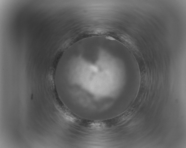 X0000071770415200607071307