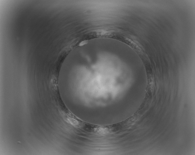 X0000071770419200607071306