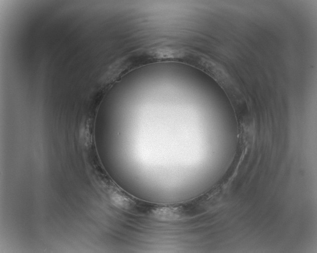 X0000071770422200607071306