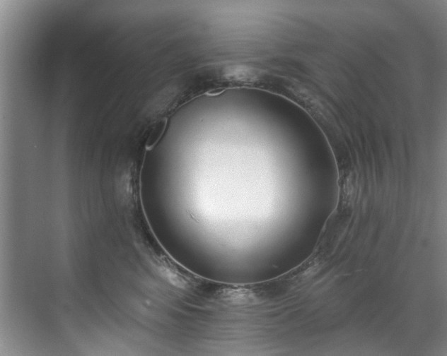 X0000071770424200607071306