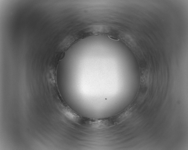 X0000071770430200607071306