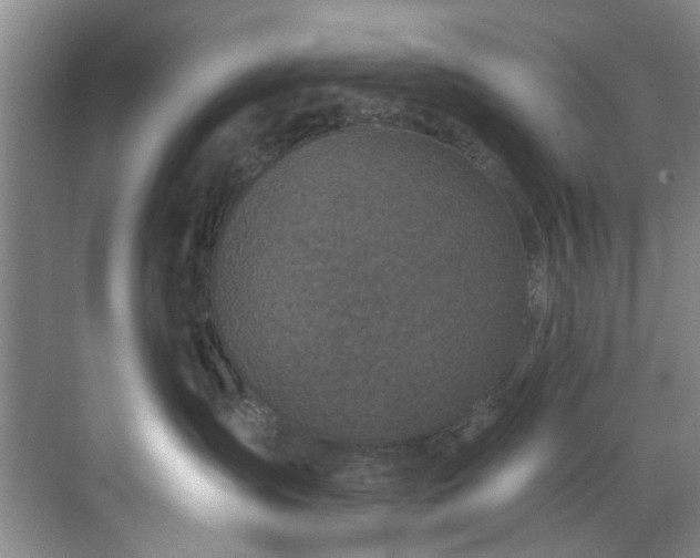 X0000071770431200607071306