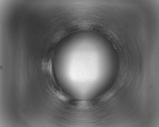 X0000071770432200607071306