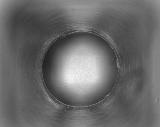 X0000071770433200607071305