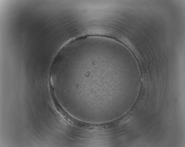 X0000071770434200607071305