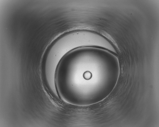 X0000071770436200607071305