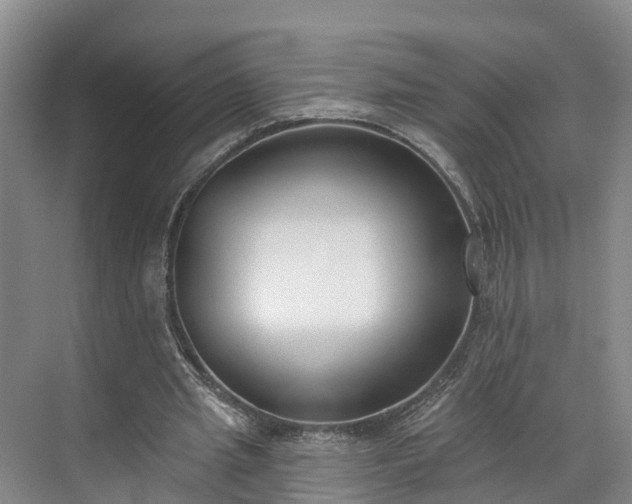 X0000071770437200607071306