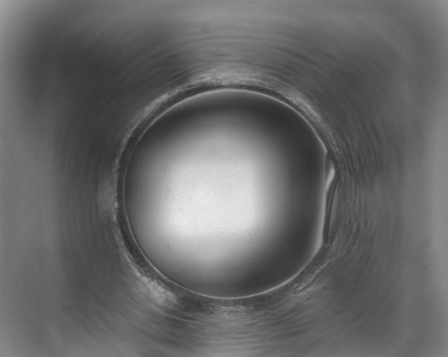 X0000071770438200607071306