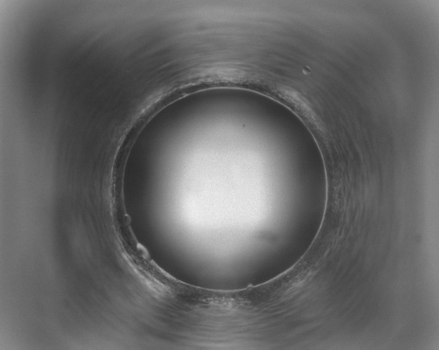 X0000071770439200607071306