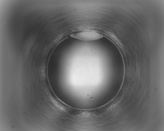 X0000071770441200607071306