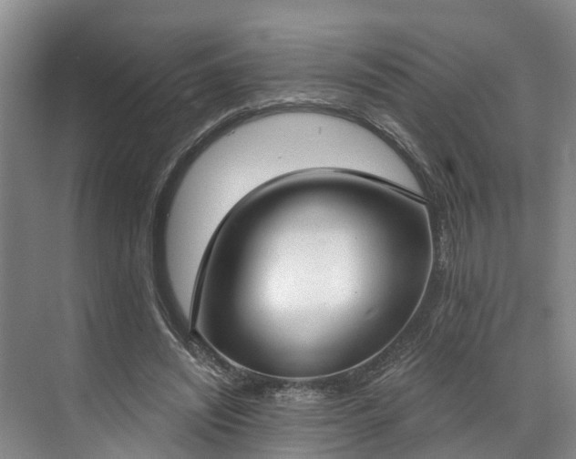 X0000071770444200607071306