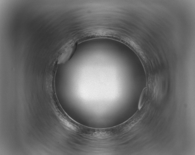 X0000071770445200607071306