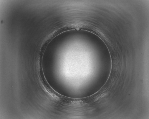 X0000071770446200607071306