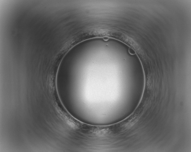 X0000071770449200607071306