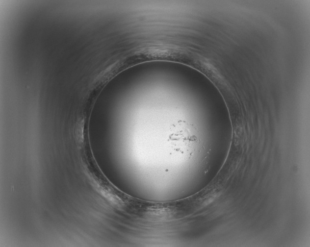 X0000071770454200607071306