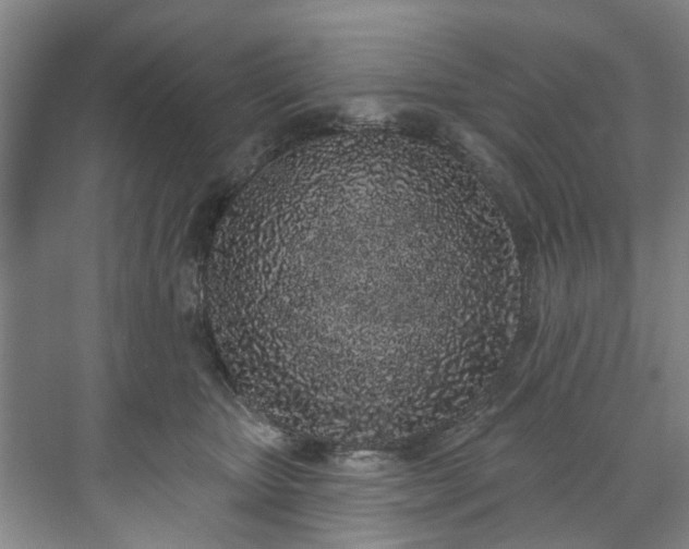 X0000071770467200607071306