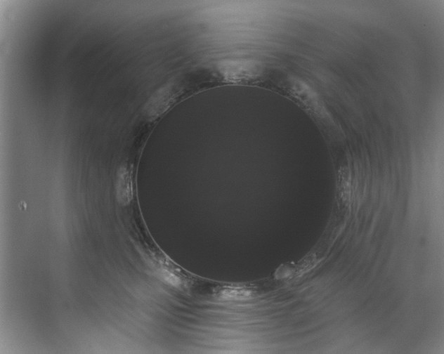 X0000071770471200607071306