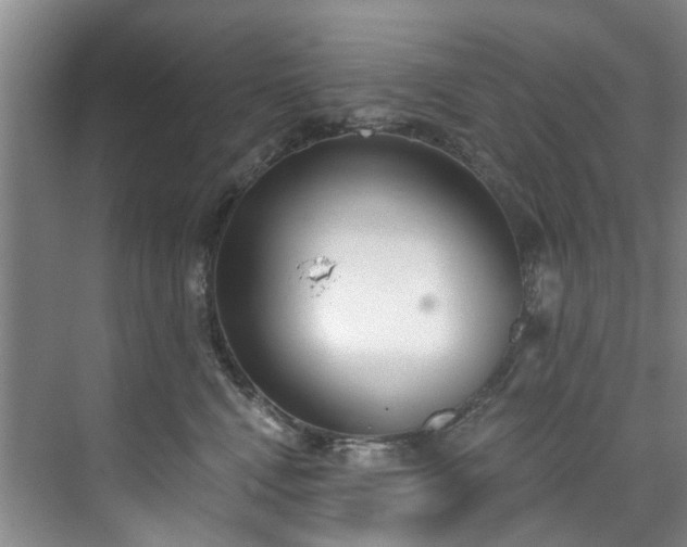 X0000071770472200607071306