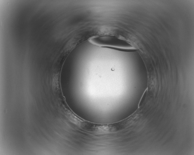 X0000071770473200607071306