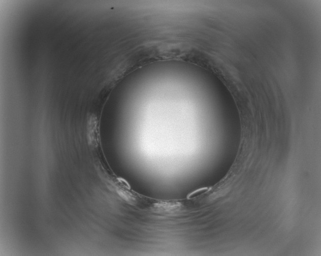 X0000071770480200607071306