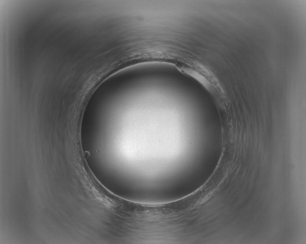 X0000071770481200607071305