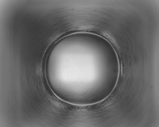 X0000071770483200607071305