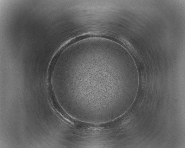 X0000071770484200607071305