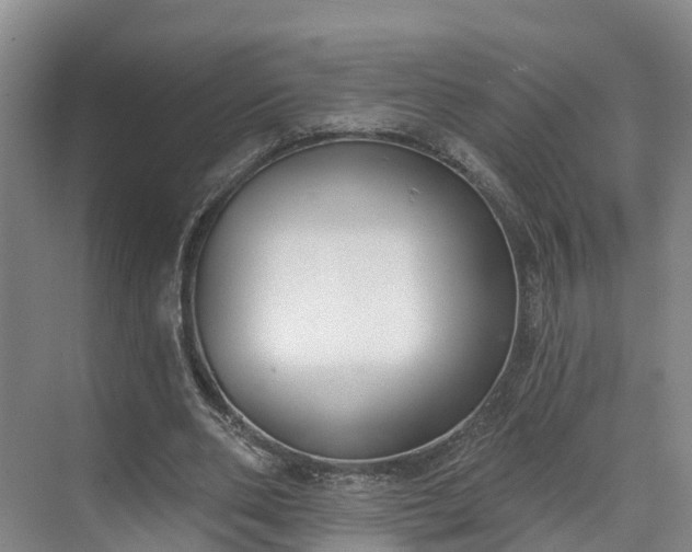 X0000071770486200607071305