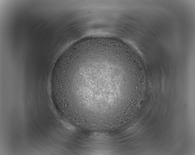 X0000071770487200607071305