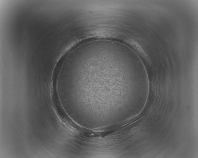 X0000071770488200607071305