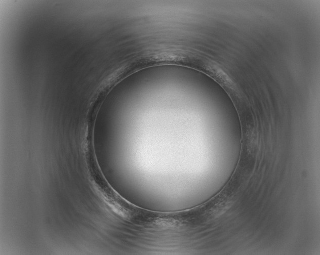 X0000071770490200607071305