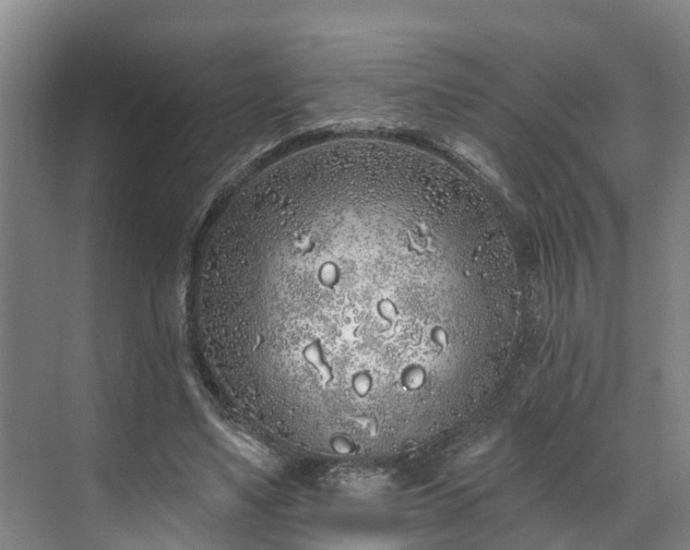 X0000071770491200607071305