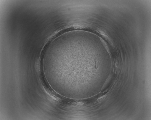 X0000071770492200607071305