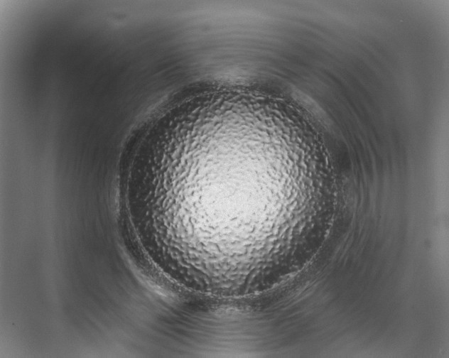 X0000071770494200607071305