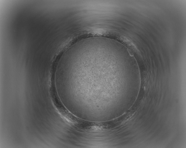 X0000071770496200607071305