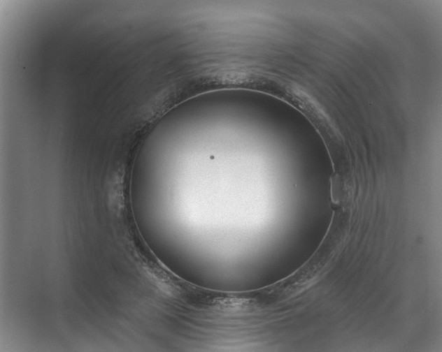 X0000071770497200607071305