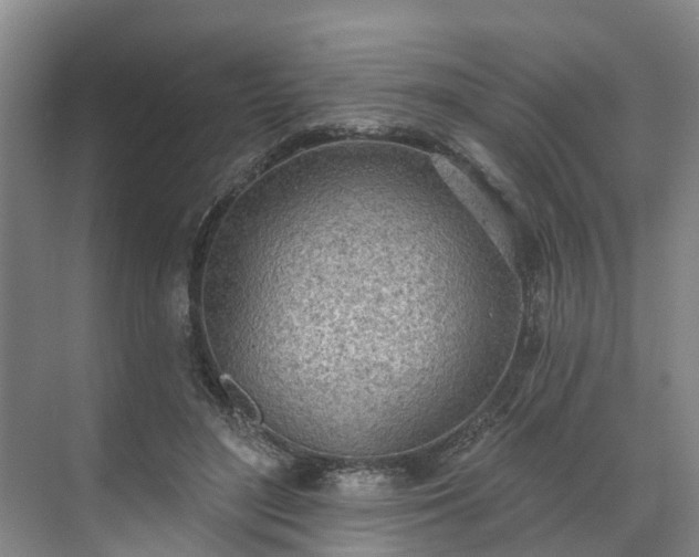 X0000071770500200607071305