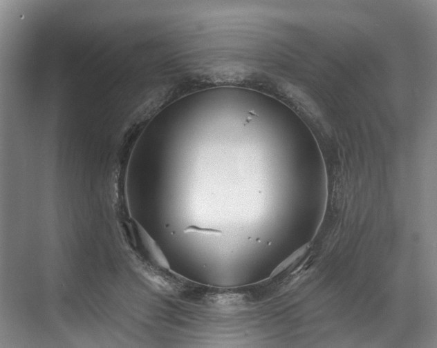 X0000071770501200607071305