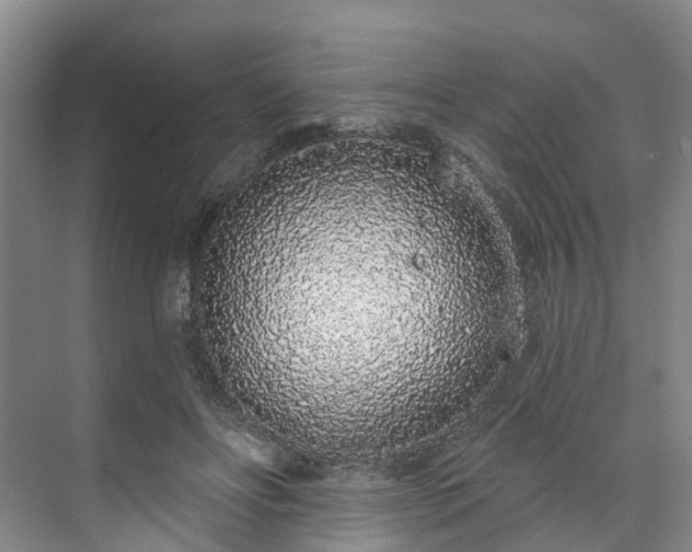 X0000071770502200607071305