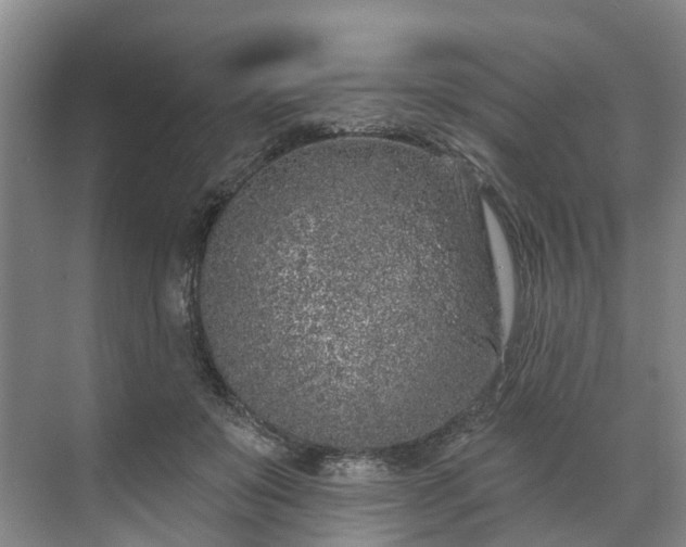 X0000071770503200607071305