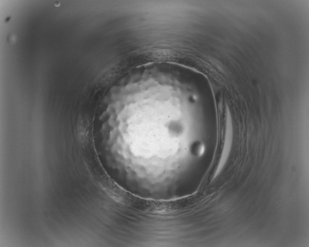 X0000071770507200607071305