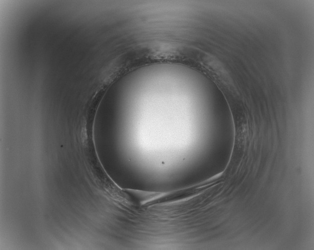 X0000071770508200607071305