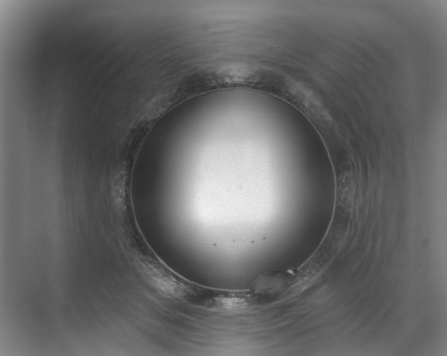 X0000071770509200607071305