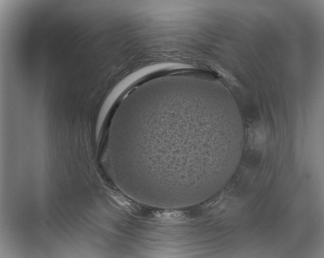 X0000071770517200607071305