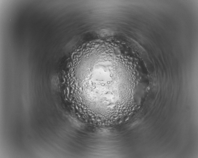 X0000071770523200607071305