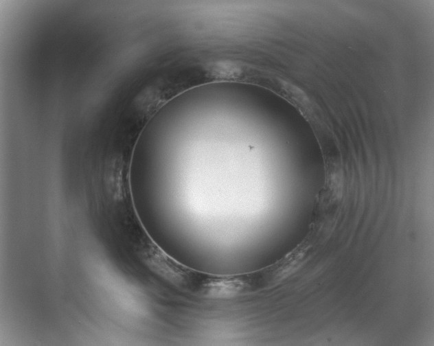 X0000071770525200607071305