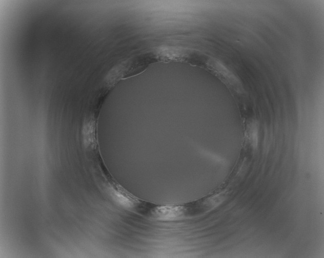 X0000071770526200607071305