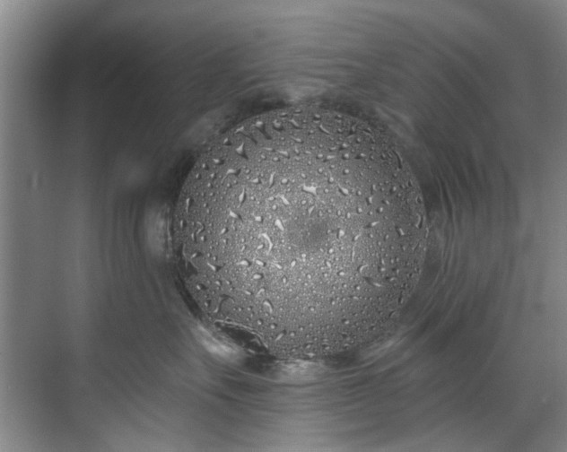 X0000071770527200607071305