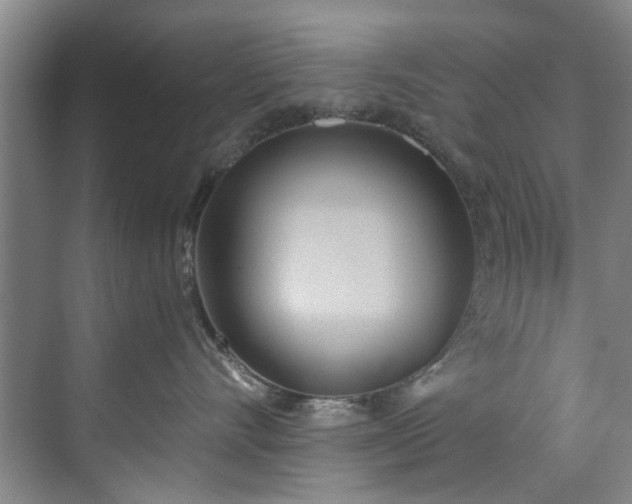 X0000071770528200607071305