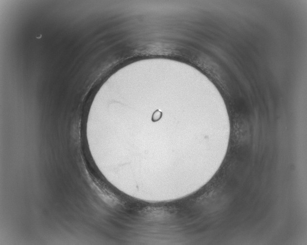 X0000071770534200607071304